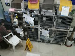 -申普宠物医院·眼科·心内科·影像科(普陀分院)