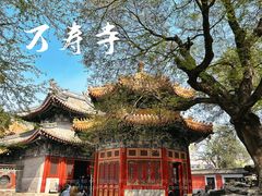 -北京艺术博物馆(万寿寺)