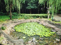 -苏州河梦清园环保主题公园