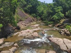 -广州白江湖森林公园