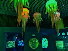 -太平洋海底世界