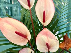 -南堂馆·新川菜(春熙路店)