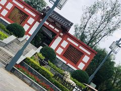 -武清南湖绿博园