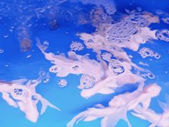 -华声天桥民俗文化园