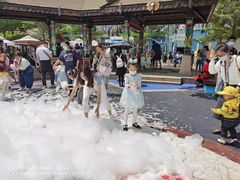 -灵玲国际马戏城