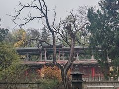 -玉泉院