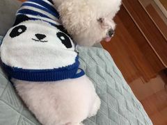 -X88商场(铜仁路店)