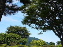 -棒棰岛宾馆景区