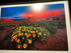 -罗红摄影艺术馆