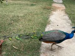 -昆明动物园