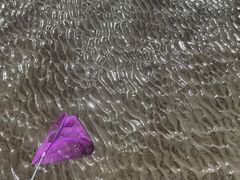 -奉贤海滩