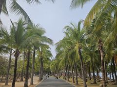 -三亚西岛海洋文化旅游区