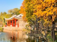 -顺峰山公园