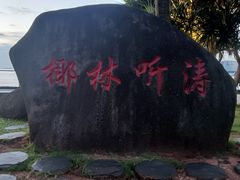 -万绿园