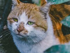 -敬亭山风景名胜区