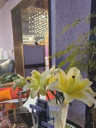 -花隐·美芙炫海菲秀皮肤管理中心