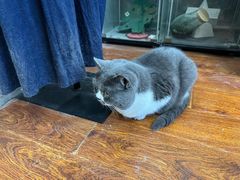 -不作·手工银饰DIY(西红门店)