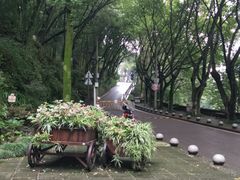 -重庆平顶山公园
