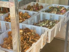 -双喜农庄·菌香园(安居家园店)