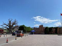 -新疆天山野生动物园