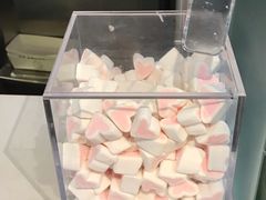 桃心棉花糖-狐狸和向日葵(北京路店)