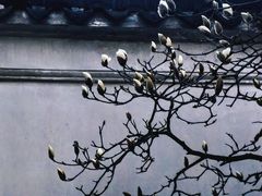 -耦园