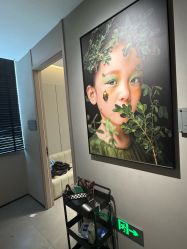 -大树儿童摄影