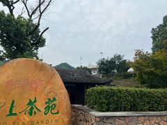 -帐篷客·溪龙茶谷度假酒店