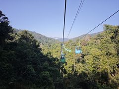 -野象谷景区