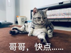-回瑞眼镜·蔡司·依视路官方授权店(广益路万达店)