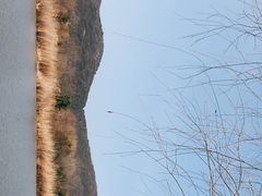 -长广溪湿地公园