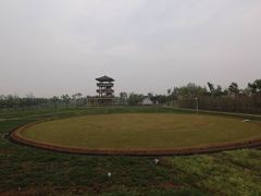 -杭州湾海上花田景区