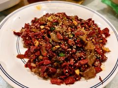 -福苗小骆驼烧烤(大唐不夜城店)