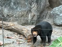 -清迈夜间动物园