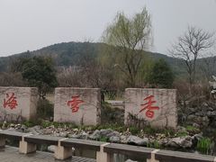 -香雪海