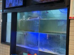 -鱼酷活鱼烤鱼(南京水游城店)