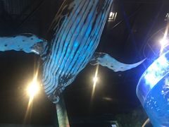 -琴岛之星摩天轮