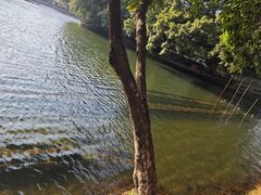-荔湾湖公园