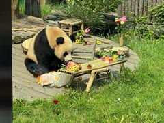 -大连森林动物园