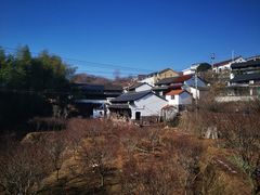 -四明山国家森林公园