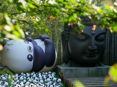 -杭州植物园
