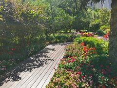 -长春公园(普阳街道)