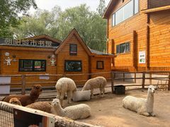 -禧宴Joyous Restaurant(禧园店)