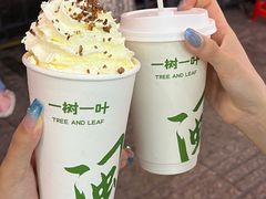 -一树一叶·福建茶档(石鼓路店)