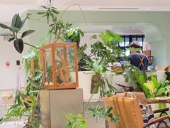 -一尺花园(安和花园店)