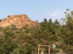 -红山国家森林公园