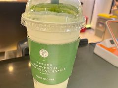 -茉酸奶(高科山姆店)