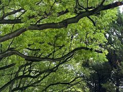 -狼山风景名胜区