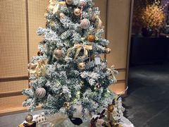 -许爷家·生态湖鲜(徐汇日月光店)