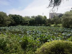 -厦门悦华酒店